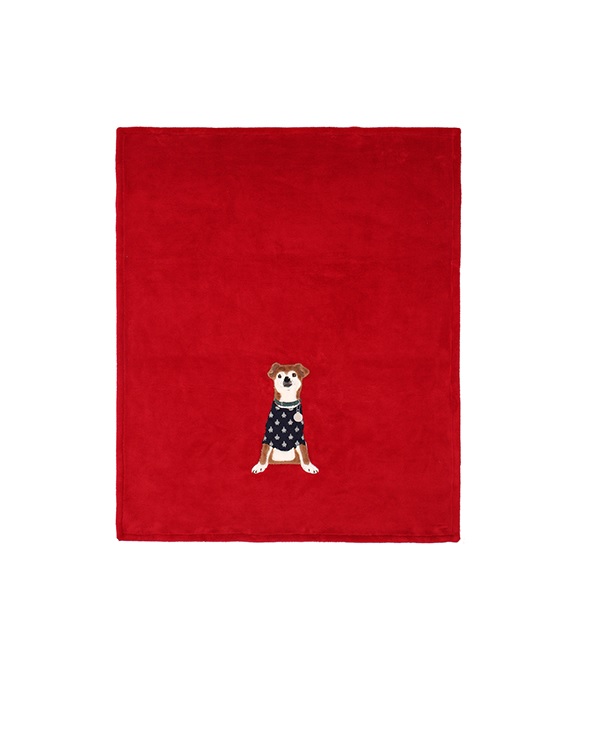 Maryplaid 6M35154 Plaid Jack Russell in bussy